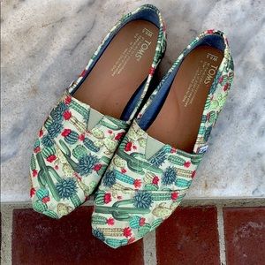 TOMS - cacti flats